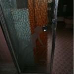 shower door with a naked woman etching