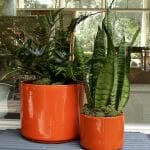 gainey ceramics cylinder planters