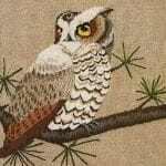 Erica Wilson owl