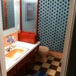 bathroom design idea for 1960 bathroom