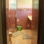 1962 Ranch Mauve bathroom