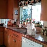 tile-countertop-1