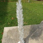 vintage-evergleam-peacock-tree-profile