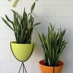 hip haven bullet planter