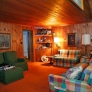 vintage-den-midcentury