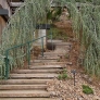 steps