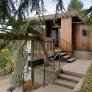 tree-growing-on-arbor