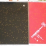 glitter formica france