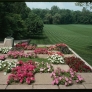 mid-century-retro-landscaping