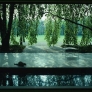 midcentury-garden-patio
