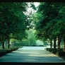 midcentury-garden