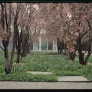 miller-house-gardens