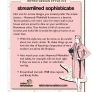 streamlined-sophisticate