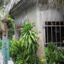 Mai-Kai-garden-building