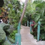 Mai-Kai-garden-path