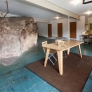 rock-in-garage