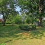 back-yard-midcentury-ranch