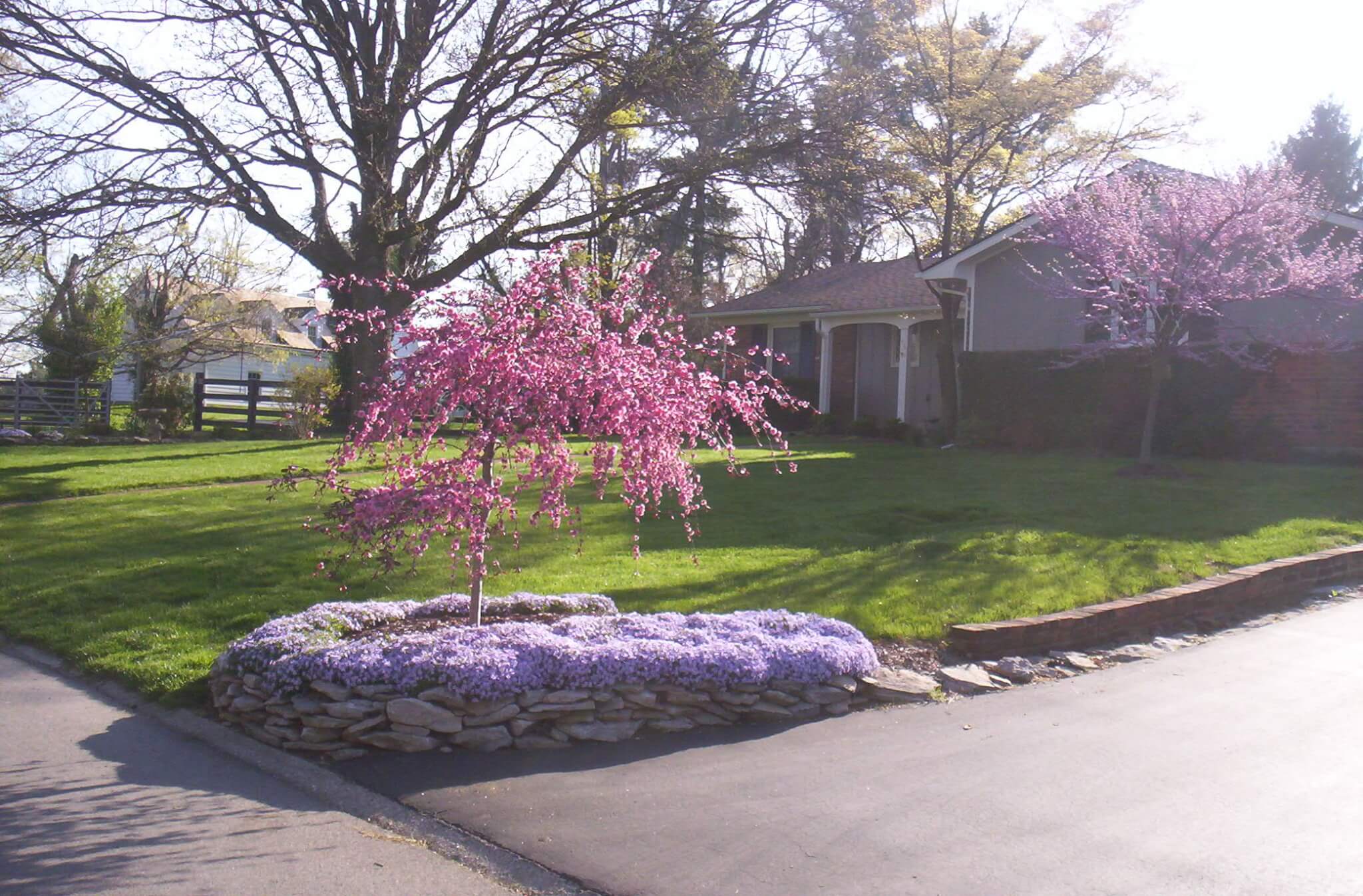 Landscaping with spring-flowering trees and perennials. (Much better planned than what you usually see, I hate to say.)