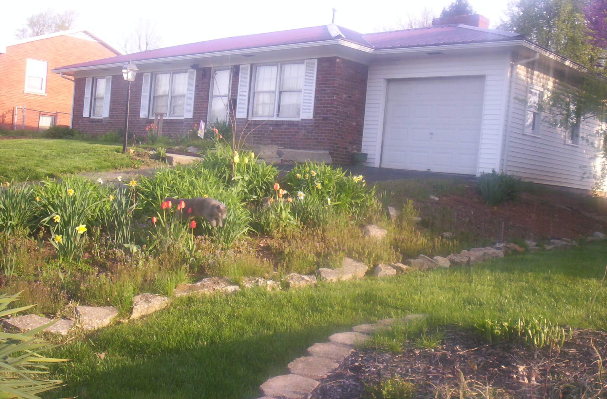 My house. Hattie, my cat, is jumping out of the flowerbed, by the way.