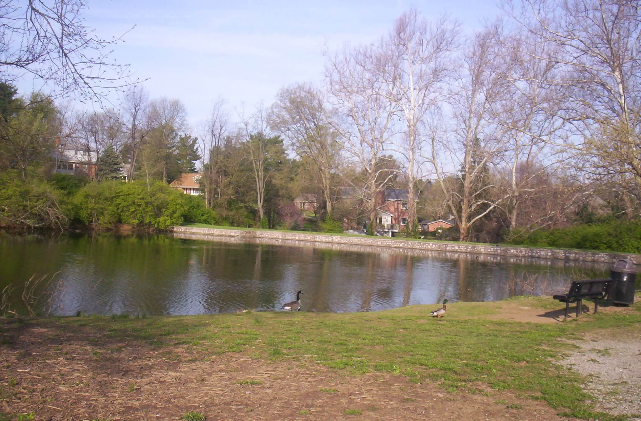 Duck pond is a pleasant place to go -- to feed the ducks, of course.