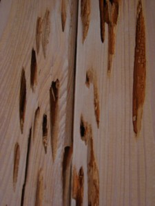 pecky cypress wood