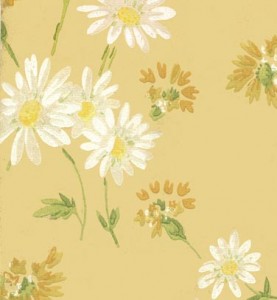 daisies-housevernacular
