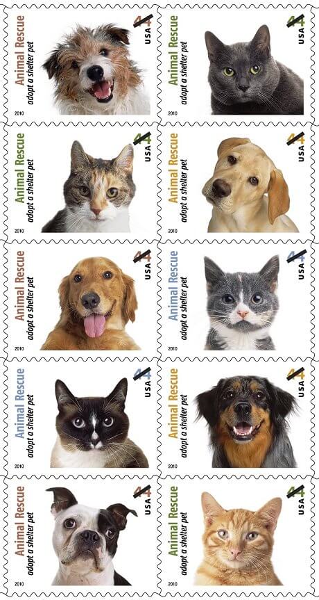 Animal Rescue - Adopt a Shelter Pet stamps and the Halo meals campaign -  Retro Renovation
