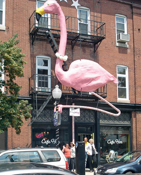 hon cafe flamingo