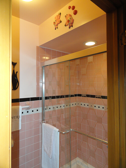 retro shower door from menards
