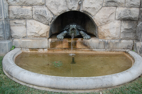 turtle fountain at the biltmore estate