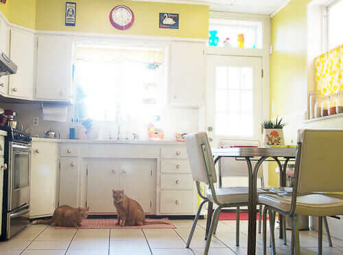 white kitchen with yellow walls