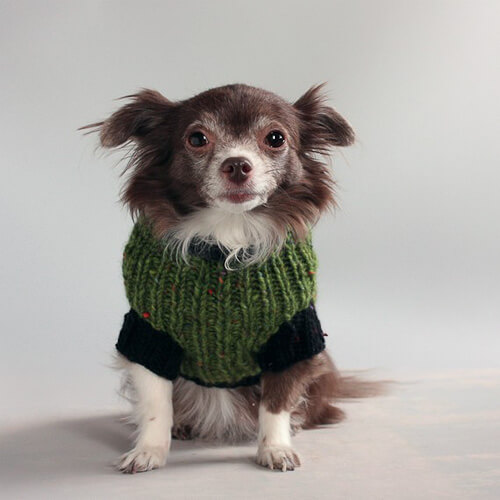 handmade dog sweater