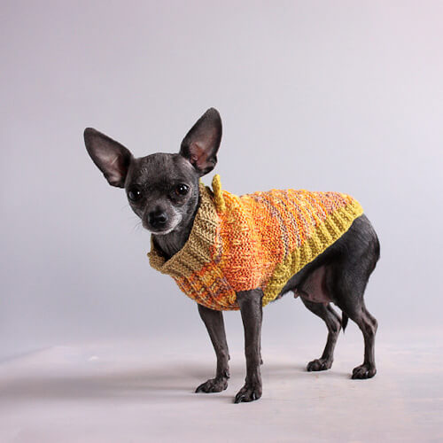 70s style dog sweater