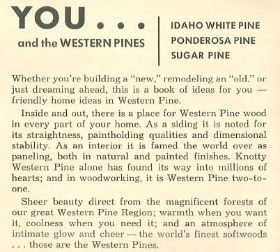 knotty pine history