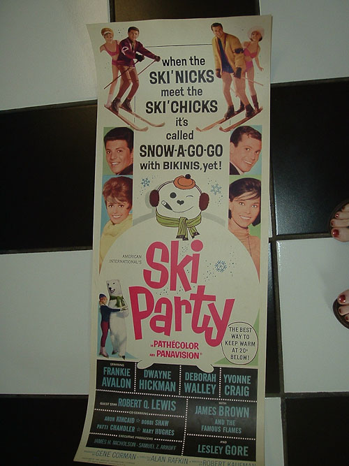 ski party poster