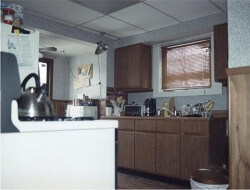 Cathy and Dave's charming vintage bungalow kitchen remodel - Retro ...