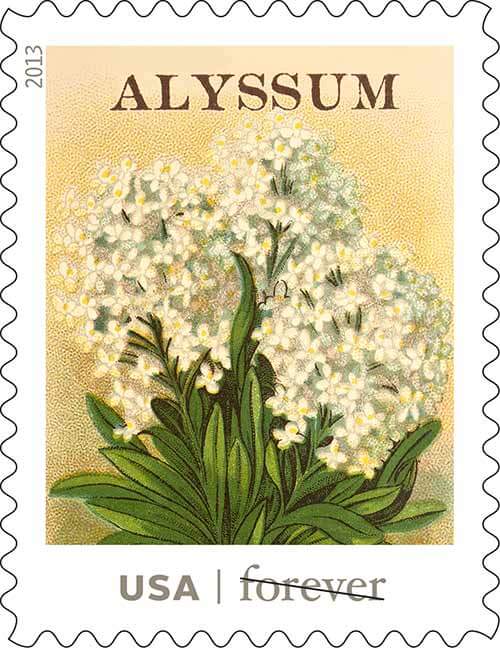 USPS-vintage-seed-packet-stamps-alyssum
