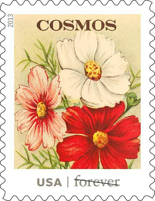 USPS-vintage-seed-packet-stamps-cosmos