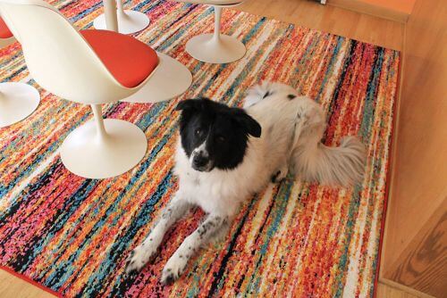 colorful rug dining room