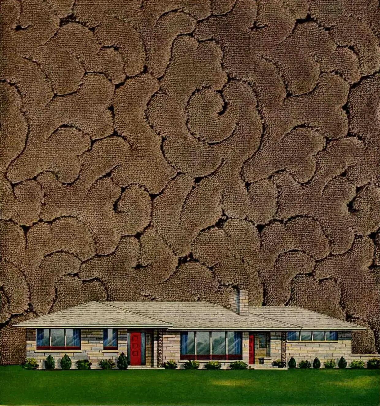 1954 wilton carpet