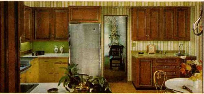 1966 St. Charles kitchen