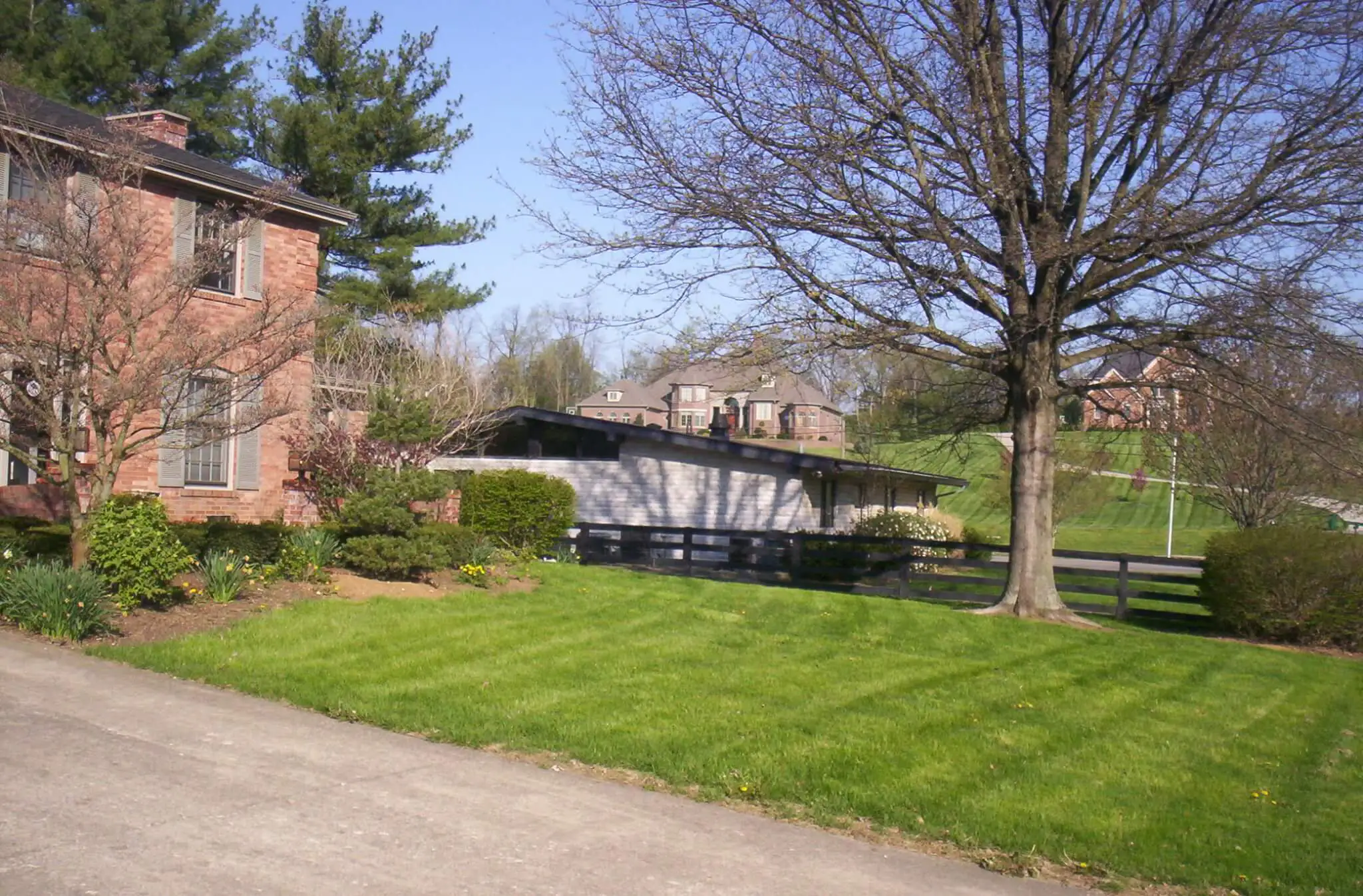 100_3829 This shot shows a mix of styles as the mid-century neighborhood ends and the mega-mansions begin. You can see a two-story colonial, a stone-and-glass ranch, and in the background, a great big \'ol place. (While I think people should have the freedom to build what they want, I just wish they wanted something that didn\'t dwarf the existing homes. Sort of like getting your cake -- a many-tiered cake -- while everyone else has cupcakes...