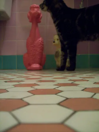 lill-in-bathroom