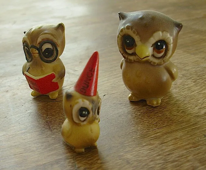 rachels-owls rachels-owls