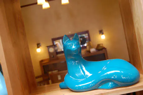 blue-cat-at-the-rejuvenation-store-portland blue-cat-at-the-rejuvenation-store-portland