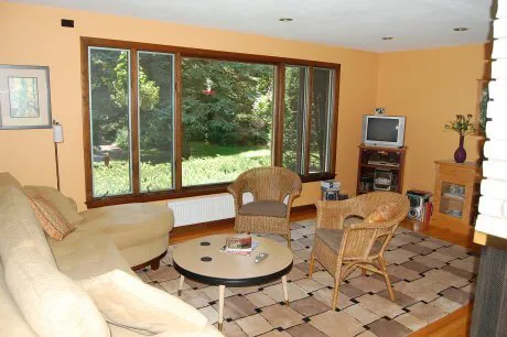 midcentury-living-room midcentury-living-room