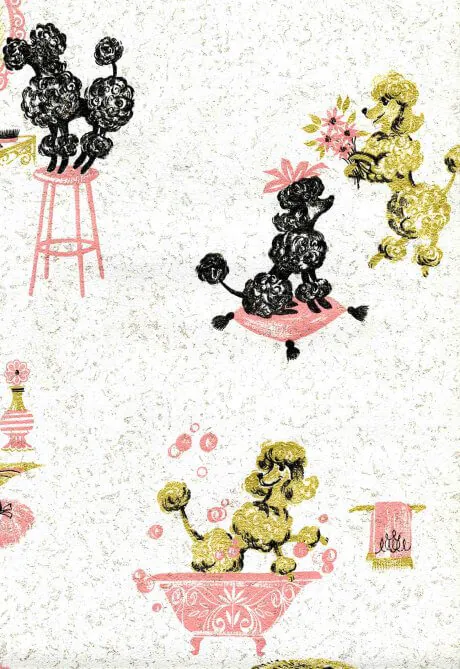 poodle wallpaper