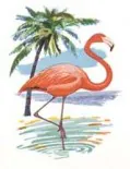 1954-aladdin-flamingo
