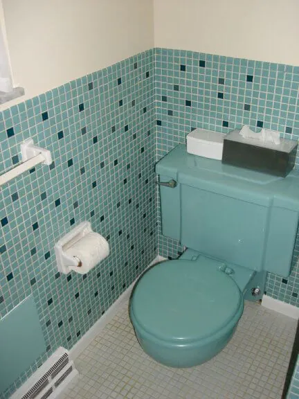 michael-main-bath-toilet