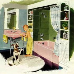 1954 kohler pink bathroom sink and bath tub